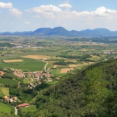 Monte Degli Aromi Farma